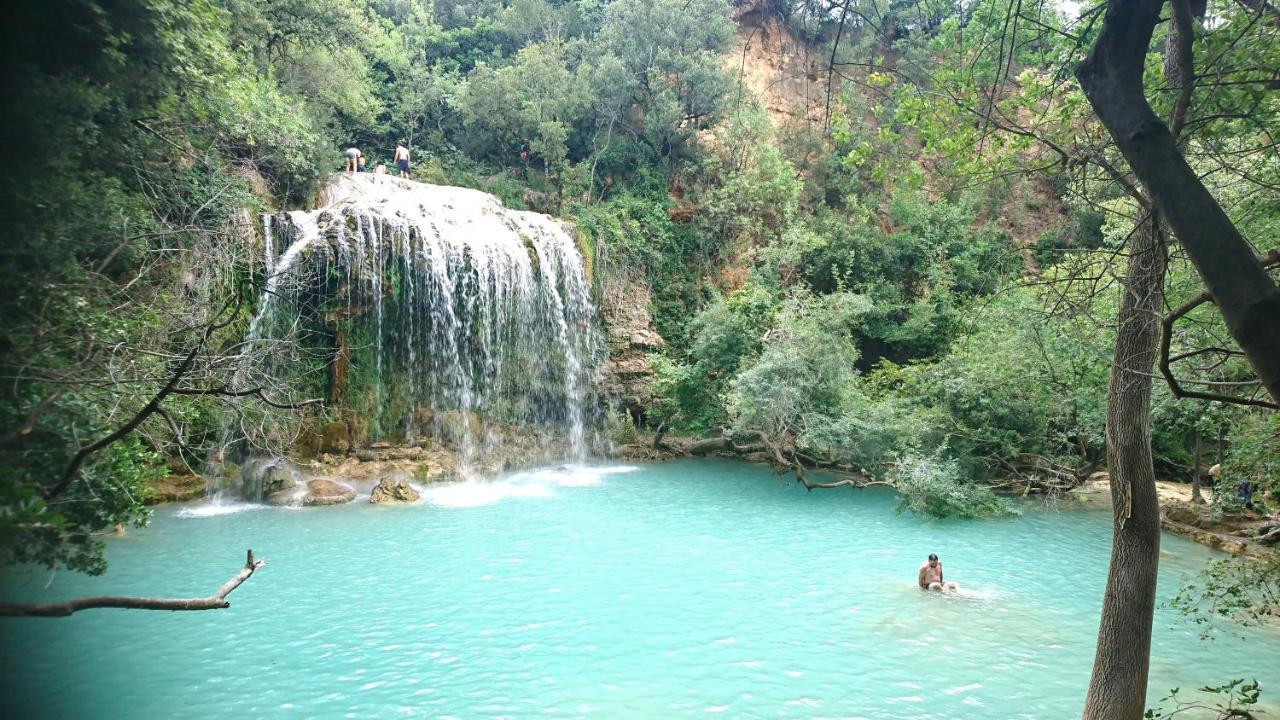 Flayosc La Villa Aux Oliviers المظهر الخارجي الصورة